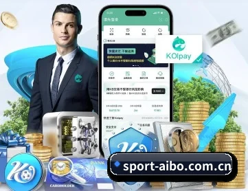 爱博体育 APP 深度功能